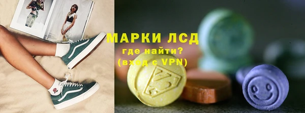 гашик Аркадак