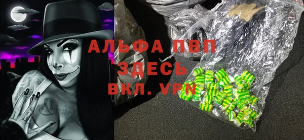 гашик Аркадак